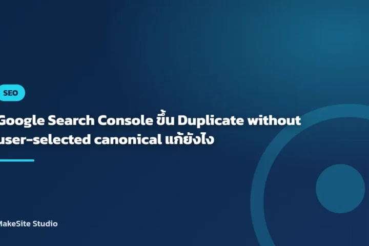 Google Search Console ขึ้น Duplicate without user-selected canonical แก้ยังไง